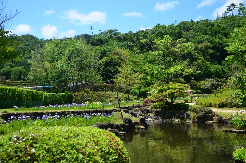 🌸 사계절 마을 공원(시키노사토 코엔) 이미지 6